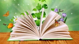 zdjęcie do artykułu: Wyniki szkolnego konkursu Mistrz czytania ze zrozumieniem