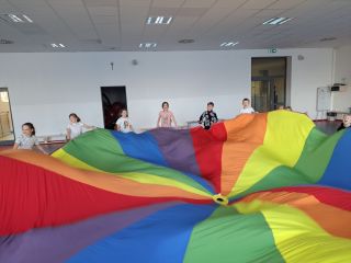 zdjęcie do artykułu: Projekt Lisek Ibisek