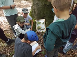 zdjęcie do artykułu: Dzień Sportu w Lisim Jarze