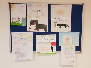 zdjęcie do artykułu: Projekt Pies