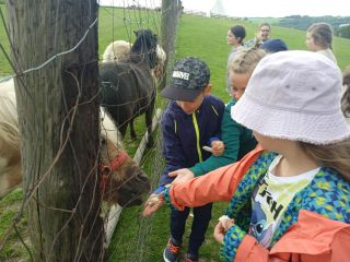 zdjęcie do artykułu: Klasy drugie w Ranczo Pstrągowa