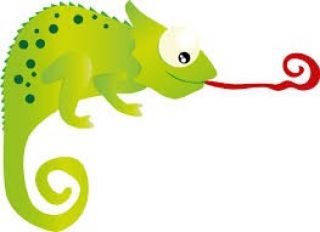 zdjęcie do artykułu: Leon