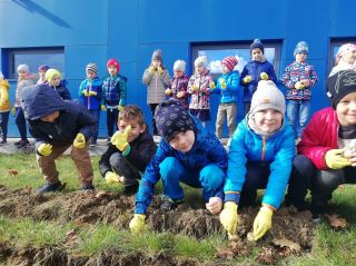 zdjęcie do artykułu: Ruszyła 4. edycja żonkilowej akcji!