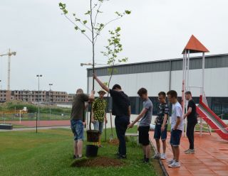 zdjęcie do artykułu: Aleja Absolwentów