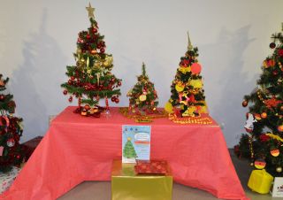 zdjęcie do artykułu: Choinki językowe...już ubrane!