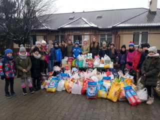 zdjęcie do artykułu: Pomogliśmy Schronisku Kundelek