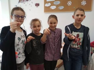 zdjęcie do artykułu: Kangur i Sudoku