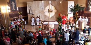 zdjęcie do artykułu: Niedziela palmowa