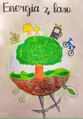 zdjęcie do artykułu: Sukces w konkursie Energia z lasu