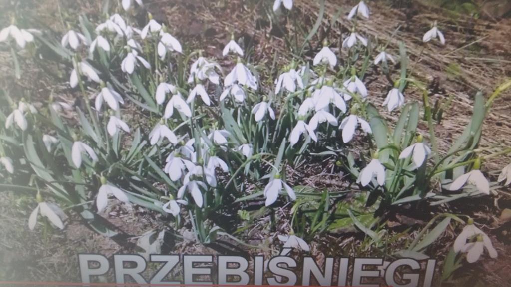 20170330_115654 (Copy)