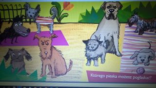 fot-06
