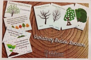 zdjęcie do artykułu: Światowy Dzień Drzewa