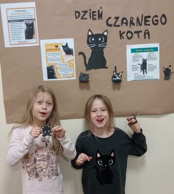 zdjęcie do artykułu: Światowy Dzień Czarnego Kota