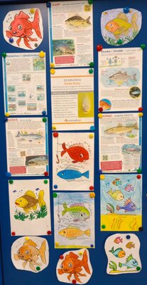 zdjęcie do artykułu: 20 grudnia Dzień Ryby