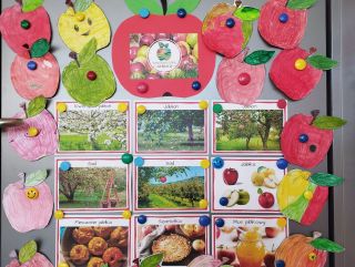 zdjęcie do artykułu: Kiedy wrzesień, to już jesień, wtedy jabłek pełna kieszeń