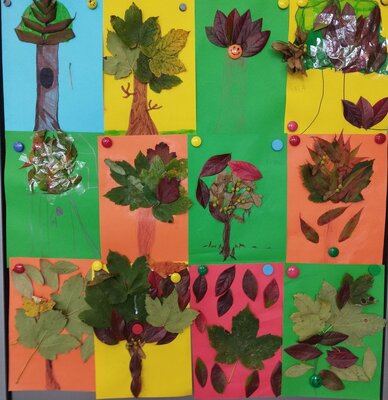 zdjęcie do artykułu: Światowy Dzień Drzewa