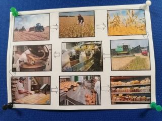 zdjęcie do artykułu: Dzień chleba