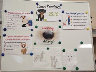 zdjęcie do artykułu: Dzień Kundelka