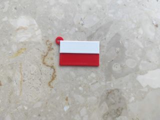 zdjęcie do artykułu: Dzień Flagi z drukarkami 3D