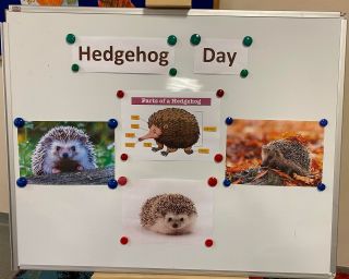 zdjęcie do artykułu: Hedgehog Day