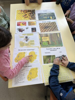 zdjęcie do artykułu: O pszczołach dużo wiemy i je szanujemy!