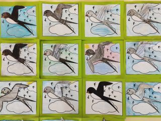 zdjęcie do artykułu: Jedna jaskółka wiosny nie czyni