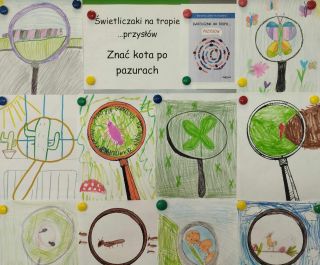 zdjęcie do artykułu: Znać kota po pazurach