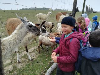 zdjęcie do artykułu: Wycieczka do zagrody Edukacyjnej Ranczo Pstrągowa