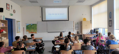 zdjęcie do artykułu: Z czego składa się las?