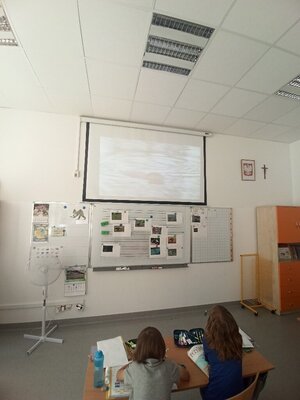 IMG_20220613_104653_copy_768x1024