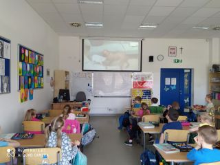 zdj%%C4%%99cie 3 jak by%%C4%%87 przyjacielem