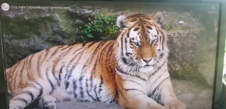 20211125_095413_1024x498