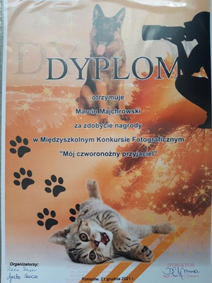 zdjęcie do artykułu: Międzyszkolny Konkurs Fotograficzny Mój czworonożny przyjaciel