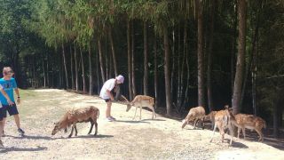 zdjęcie do artykułu: Wycieczka klas 2b i 3b do Pstrągowej Ranczo