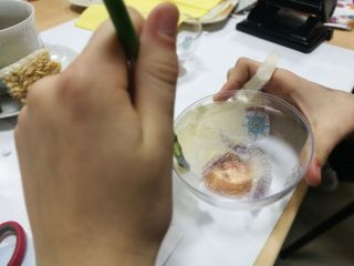 zdjęcie do artykułu: Warsztaty Bożonarodzeniowe