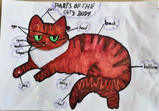 zdjęcie do artykułu: KONKURS MAPY MYŚLI Z JĘZYKÓW OBCYCH