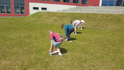 3a