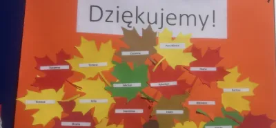 DE Z 26