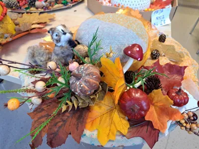 20251029 153738 resized