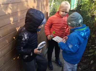 Ce7d638e-ce86-47f5-8378-c7ed5fe1f973