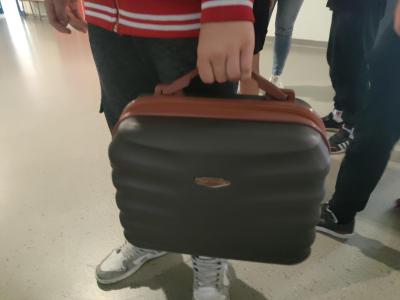 Multimedia (29)