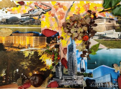 IMG 20251010 130205 Copy