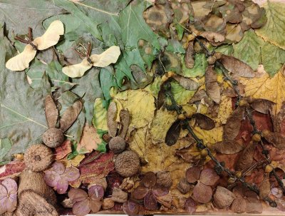 IMG 20251010 130258 Copy