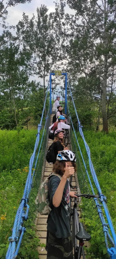 Media 8