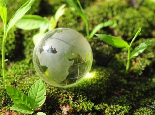 zdjęcie do artykułu: Działania ekologiczne w naszej szkole