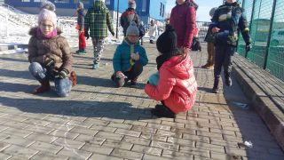 zdjęcie do artykułu: Wyznaczanie kierunków świata- edukacja przyrodnicza w terenie