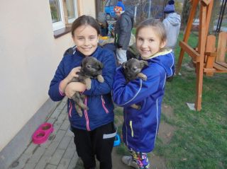 zdjęcie do artykułu: Pomogliśmy podopiecznym schroniska Kundelek