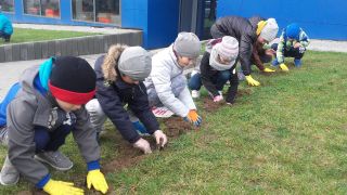 zdjęcie do artykułu: Szkolne Ogrody Nadziei  znów zakwitną!
