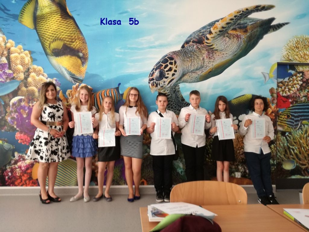 paski 5b