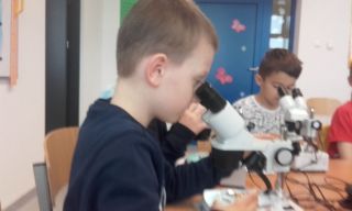 zdjęcie do artykułu: Warsztaty Wiosennej Akademii Bioróżnorodności